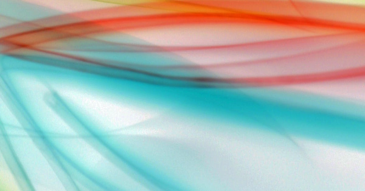 Визуальная эстетика слот-игры The Dog House